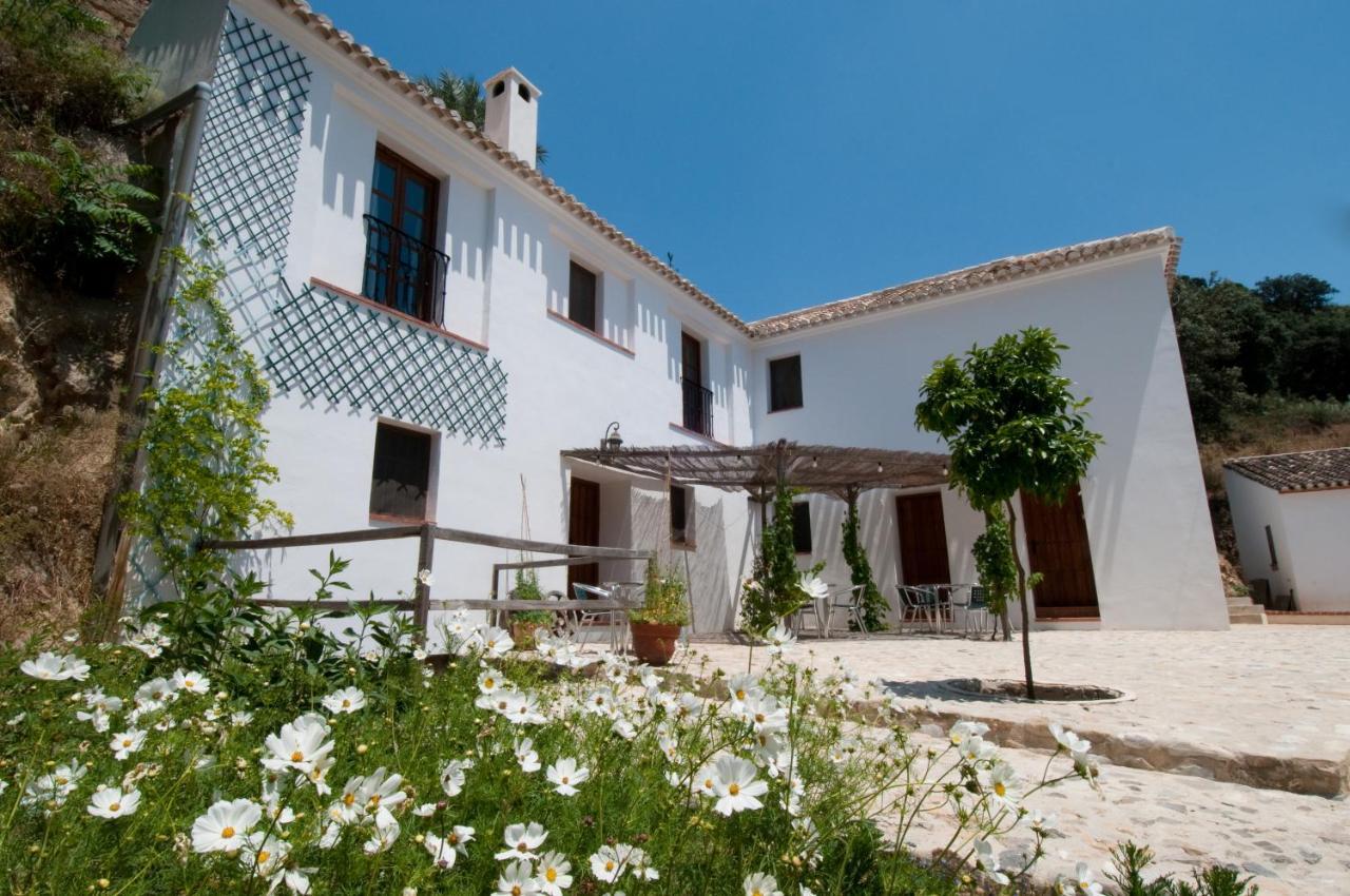 El Granero At Molino La Ratonera Zagra Exterior foto